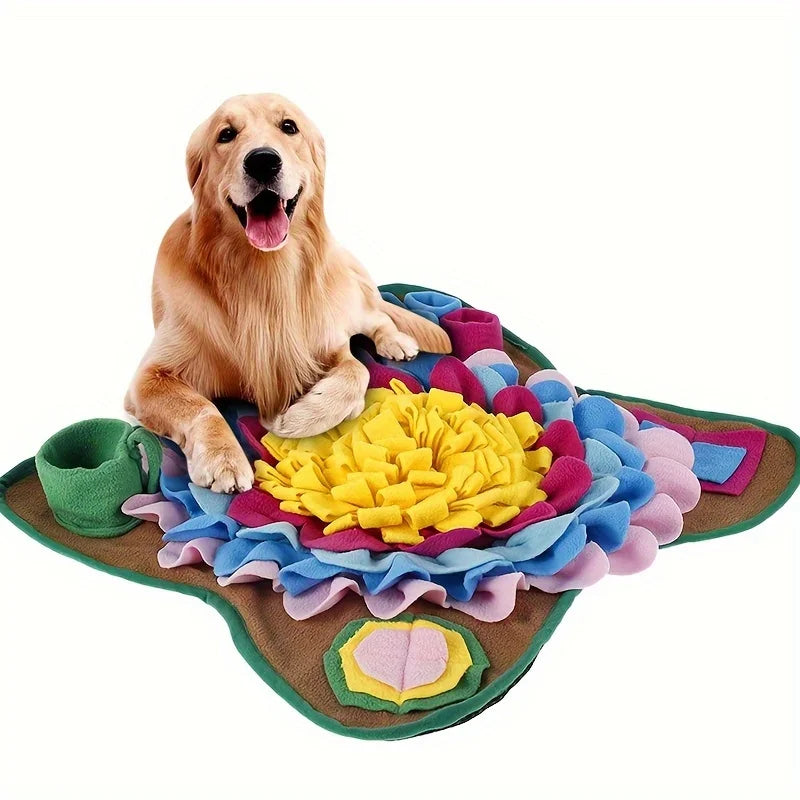 Dog sitting on a colorful pet mat with a white background